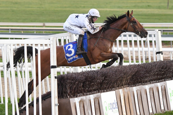 Bee Tee Junior and jockey Lee Horner win the Grand National Steeplechase at Ballarat on Sunday.