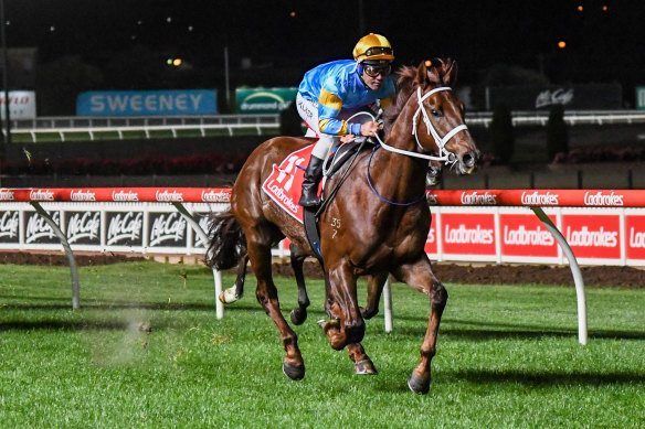 Vowmaster wins at Moonee Valley in November.