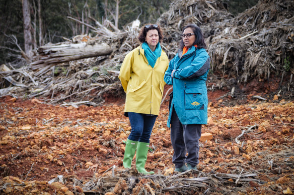 Independent MP Monique Ryan and Labor MP Michelle Ananda-Rajah during a tour of a logging coupe at Toolangi, near Melbourne.