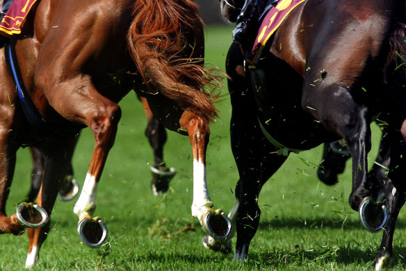 Tuesday's eight-card meeting at Wagga features strong chances in almost every race.