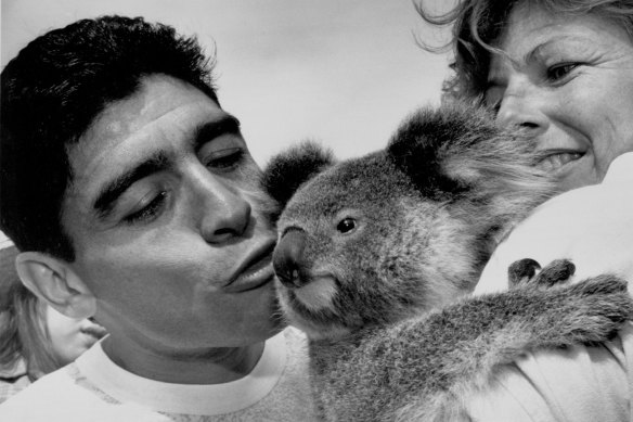 Diego Maradona meets Lowana the koala at Taronga Zoo.