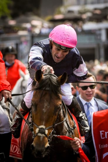 Young gun: Rekindling and jockey Corey Brown after winning last year's Melbourne Cup.