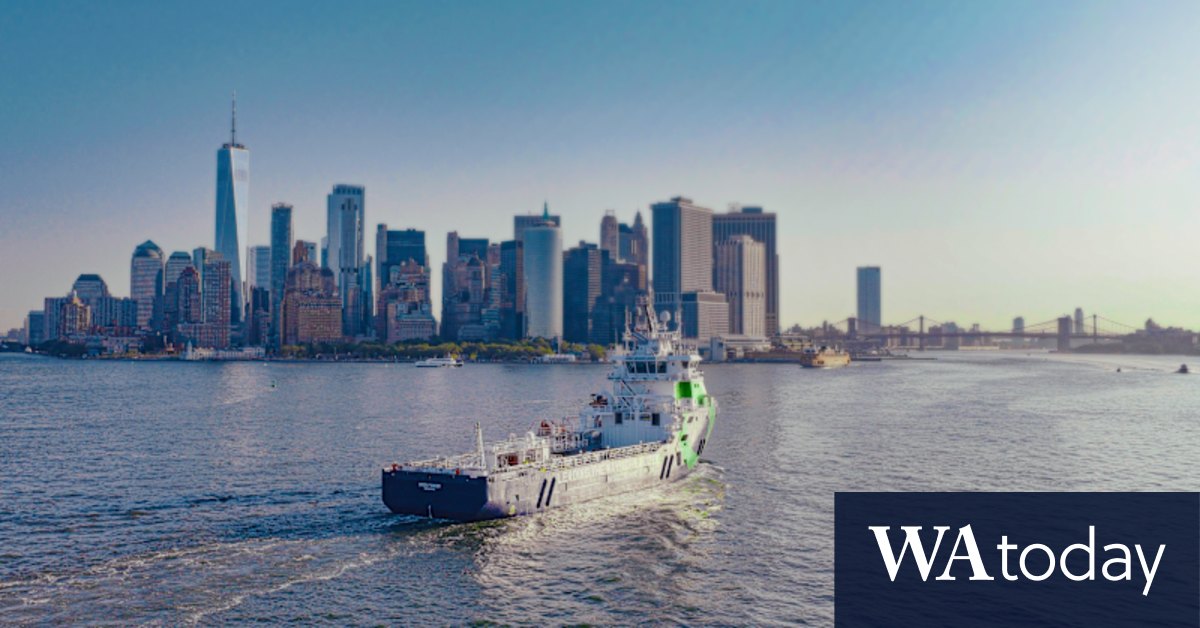 Mining magnate slams Donald Trump’s vitality insurance policies