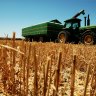 A dozen farming deaths in as many months sparks WA work safety inquiry