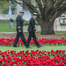 Sea of poppies to remember Australia's WWI heroes