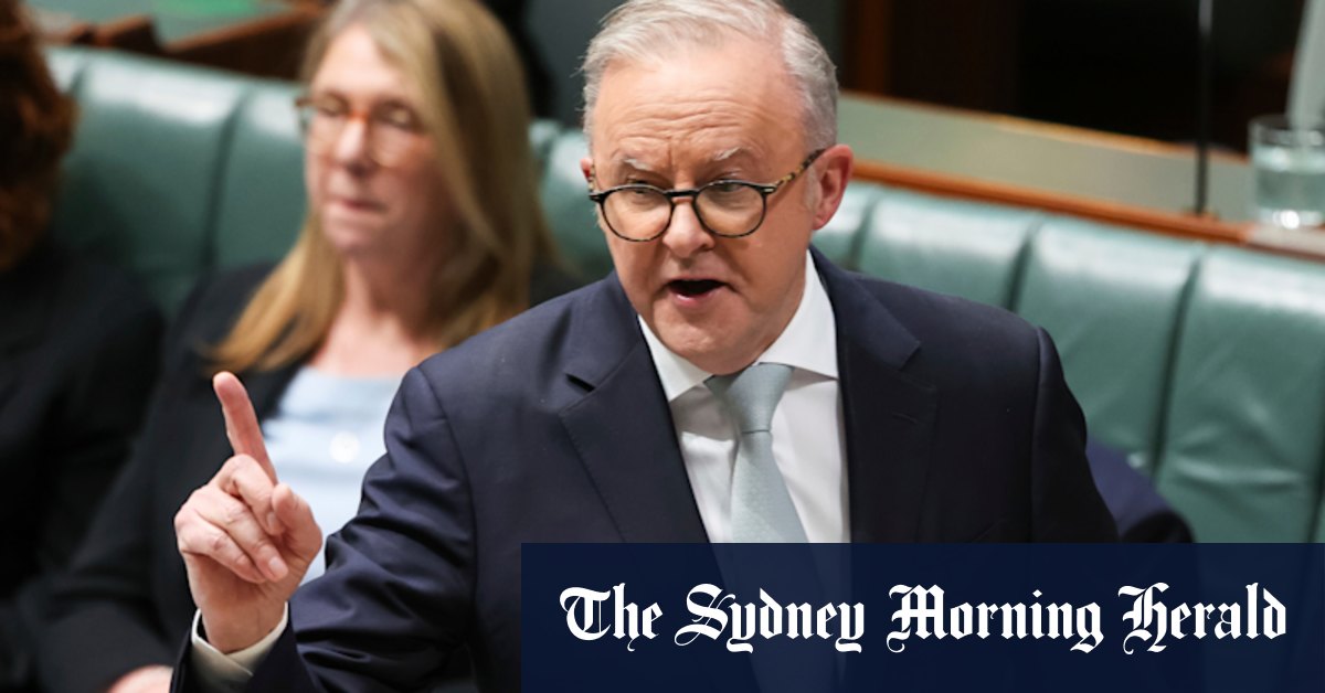 ‘It’s a farce’: Treasury reveals only one number in play for Albanese’s climate target
