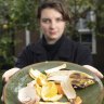 Council food waste plan hits a snag – the state’s bin is full