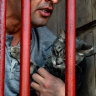 First cats took over this prison. Then they stole its prisoners’ hearts