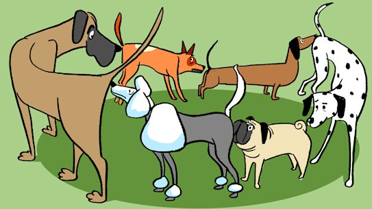 To survive the dog park, manage your expectations, come armed with an understanding of the etiquette required, and keep a close eye on that pooch.