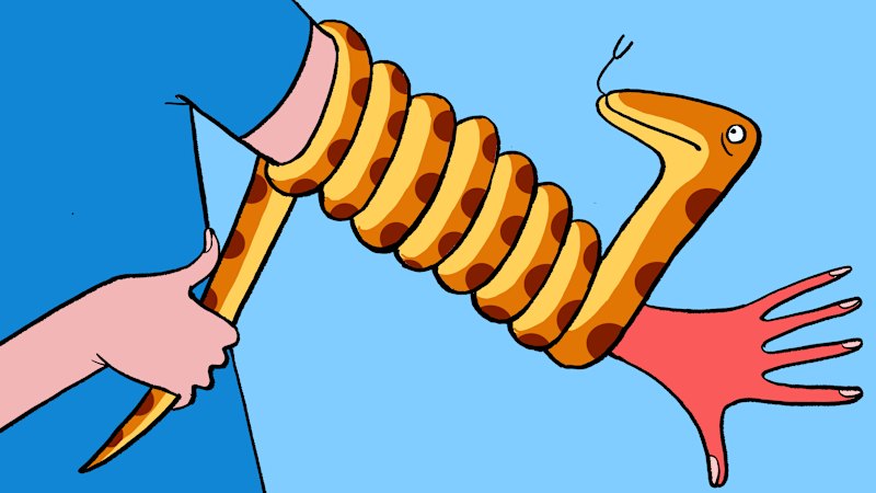 If you spot a snake in your yard, go inside and have a beer