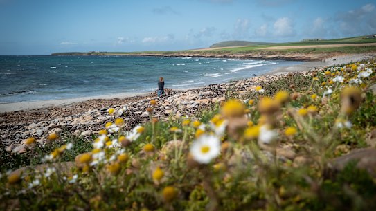 The Orkney Islands, of course, are home to the myth of the selkie.