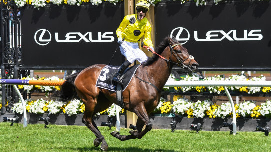 Without A Fight, ridden by Mark Zahra, wins the Melbourne Cup.