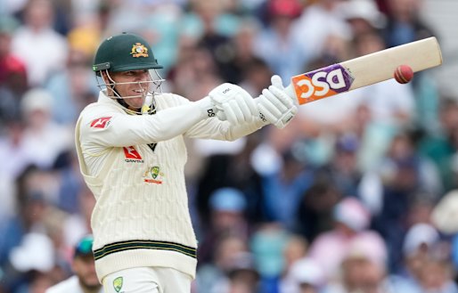 David Warner was unbeaten on 58 when rain stopped play.