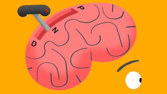 “You literally can’t experience a change in ­temperature and keep overthinking,” says behavioural scientist Ali Walker.