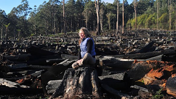 Sponsorship deal kicks St Kilda's women's team into forests debate