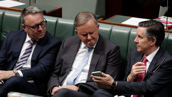 Labor MP Joel Fitzgibbon, left, supports government subsidies for gas pipelines, but his colleague Mark Butler, right, says they are unnecessary.