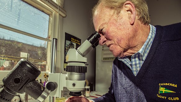 Entomologist safeguarded forests against insect attack
