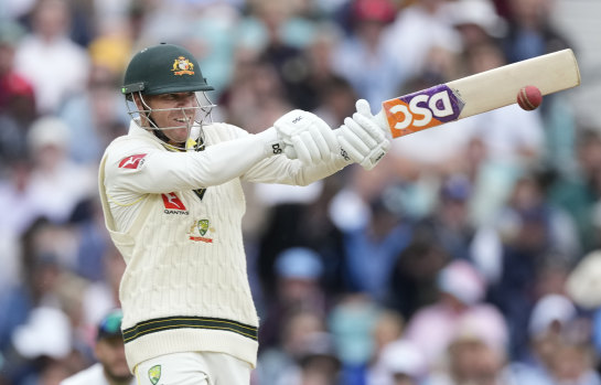 David Warner was unbeaten on 58 when rain stopped play.