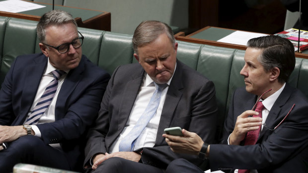 Labor MP Joel Fitzgibbon, left, supports government subsidies for gas pipelines, but his colleague Mark Butler, right, says they are unnecessary.