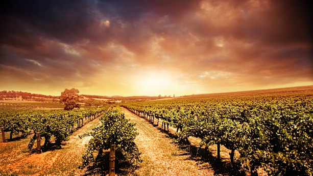 Eisenstone in the Barossa Valley.