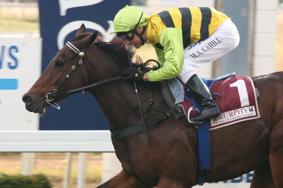 Mathew Cahill has the ride on Scopics in the Newhaven Park Central Districts Country Championships at Mudgee.