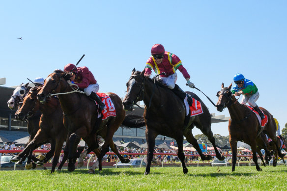 Gentleman Roy was first passed the post in the CF Orr but lost the race on protest to Jacquinot.