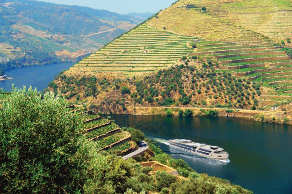 Cruising the Douro River with APT – an artist’s impression of the MS Estrela.