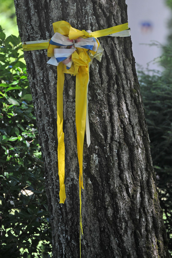 A yellow ribbon tied to a tree in the street of the Foley family home while Jim’s fate was in the balance.