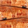 Mining upside: Rio Tinto’s interim dividend of $12 billion was larger than company’s in the ASX50. 