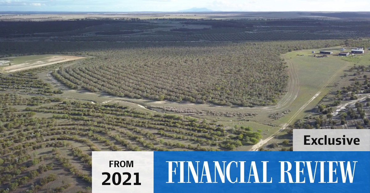 NatureCo to tap demand for trusted carbon offsets