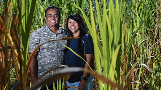 Juncao grass farmers Vinit Lal and Chaya Kumar on their farm in Votualevu, Nadi.