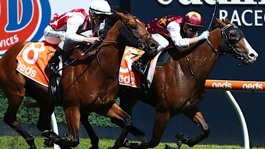 Ben Melham rides Streets Of Avalon to victory in the Futurity.