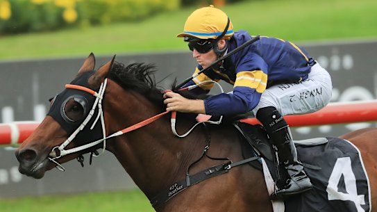 Master Of Wine on his way to an easy win this autumn.
