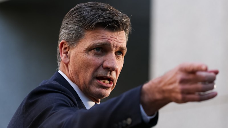 Coalition fails to gain ground as One Nation falters (australia) — SMH