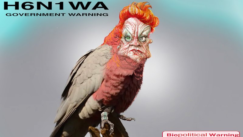 The Orange Tsunami: One Nation Crashes Labor's Perth Heartland — image 5