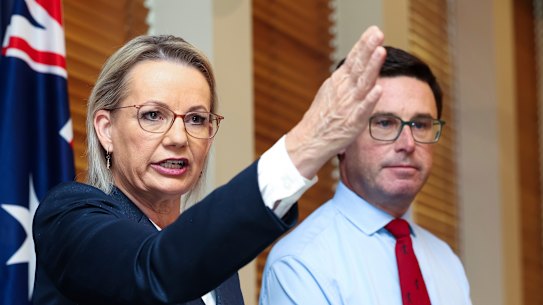 Liberal leader Sussan Ley and Nationals leader David Littleproud.