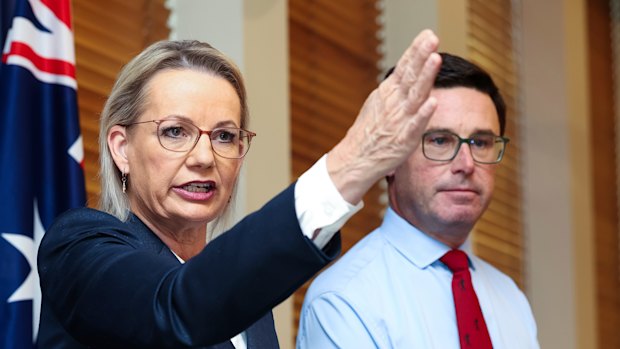 Liberal leader Sussan Ley and Nationals leader David Littleproud.