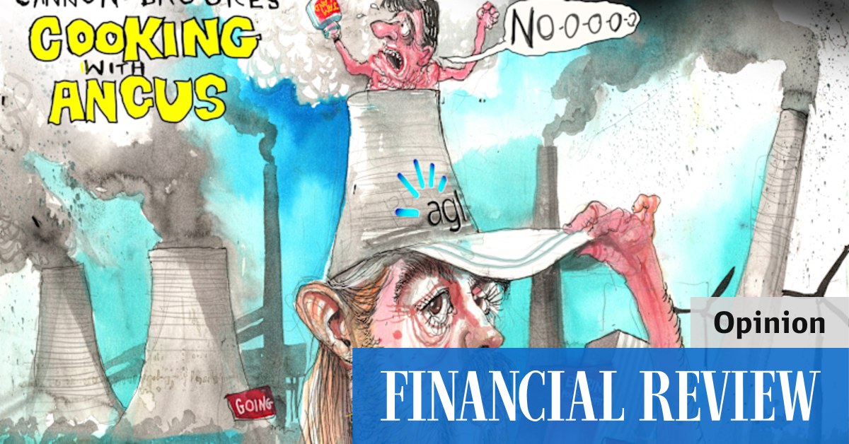 Mike Cannon-Brookes AGL bid: - Vimarsana News