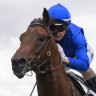 Godolphin team buying into the hype with Celerity on debut