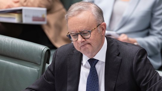 Prime Minister Anthony Albanese in parliament this week.