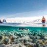 The waters off Cuverville Island, Antarctica.