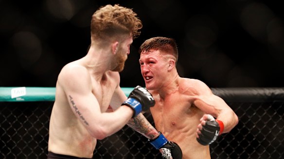 Shane Young is a rising star.