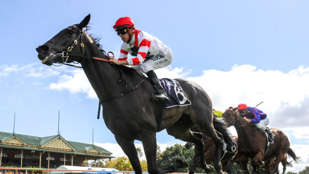 Miss Siska steps out to 2400m in Saturday's  Zipping Classic