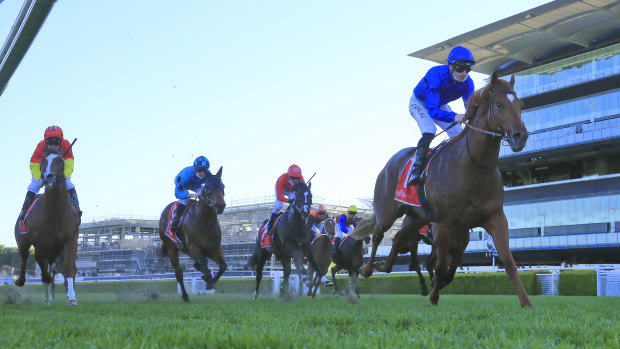 Paulele crushes his rivals, including Remarque, in the Rosebud at Randwick three weeks ago.