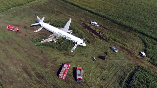 The Russian Ural Airlines' A321 plane landed in a corn field.