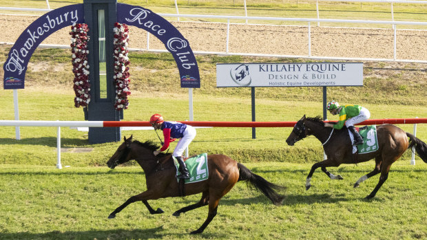 Racing returns to the Hawkesbury track on Thursday.