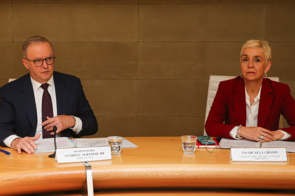 Prime Minister Anthony Albanese and Domestic Family and Sexual Violence Commissioner Micaela Cronin.