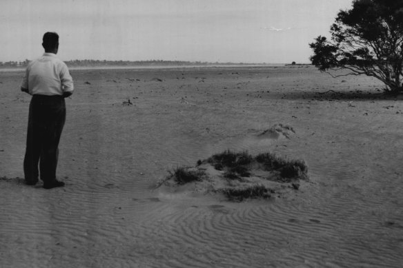 A farmer surveys his Mallee land during drought in the 1940s.