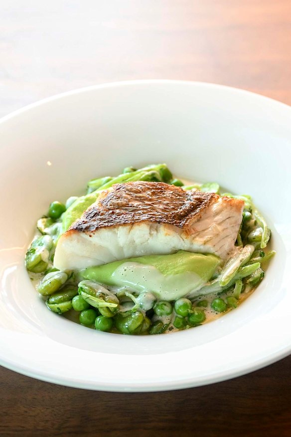 Port Phillip Bay pink snapper, vegetables, pea mousse, sauce velouté. 