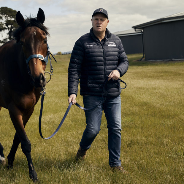 Victoria-based thoroughbred trainer Danny O’Brien decries the instant gratification offered by the Melbourne Cup’s fly-in, fly-out horses.